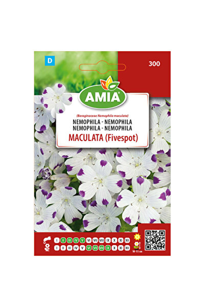 Amia Seminte de flori Nemophila - Maculata (Fivespot) Amia, 2,5 g