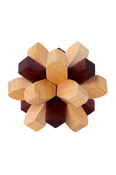G3 Puzzle Cerebral 2 - Lobul Parietal - Jucării Recente - nivel 4/5