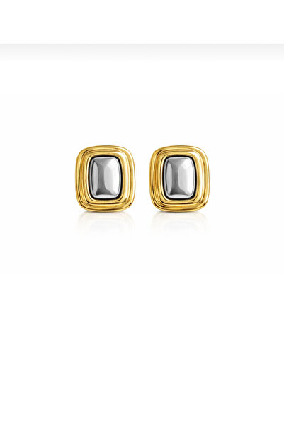 shop Steel 2 Color Mala Earrings
