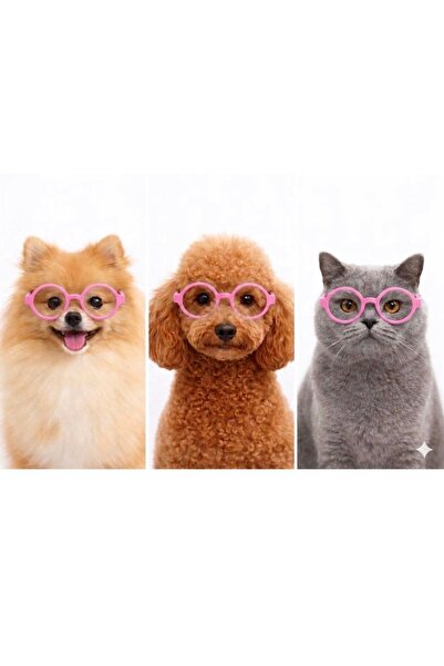 PetiliDünya Pet Glasses Cat Dog Clothing Accessory