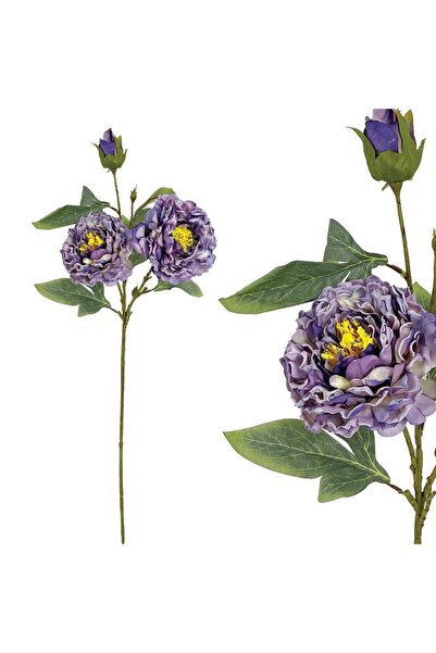 MARHOME Μωβ Παστελ Κλαδι Παιωνια - Υ71cm 24/144Κιβ 00-10000-3