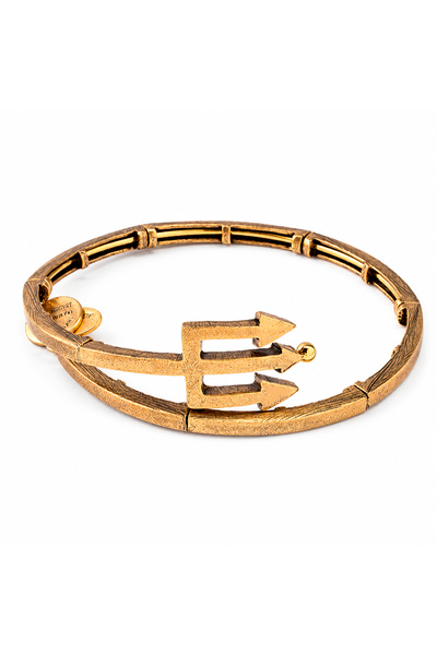 Alex and Ani Bratara Metal V16W30RG