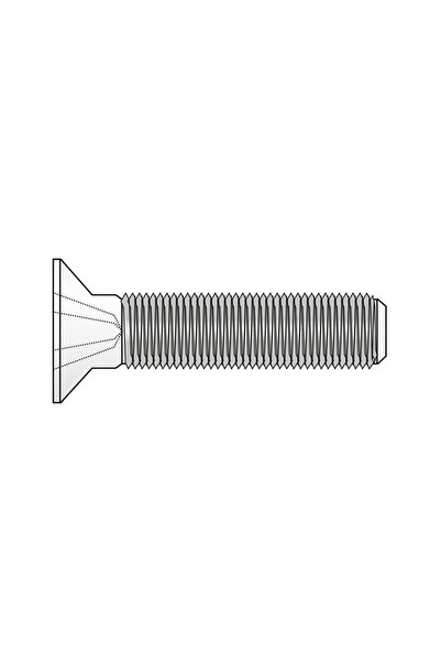 SCHAEFER Set 100 x Surub Cap Inecat Locas Cruciform 965 Inox A2 -M8 x 45