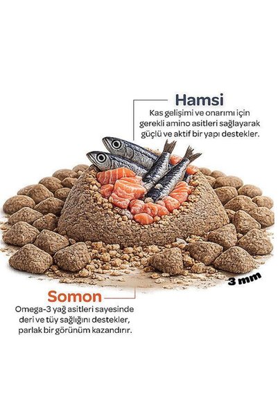obivan Kitten Somonlu ve Hamsili Yavru Kedi Maması 2 Kg