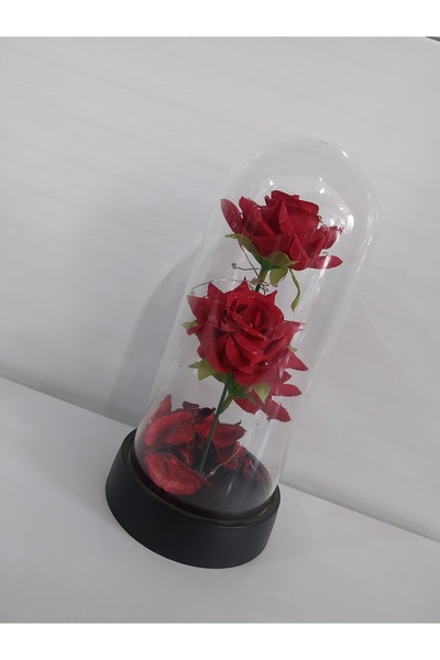 Trandafiri de săpun Rose