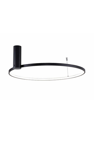 Zuma HORIK 89429-60BK Ceiling Light Zumaline