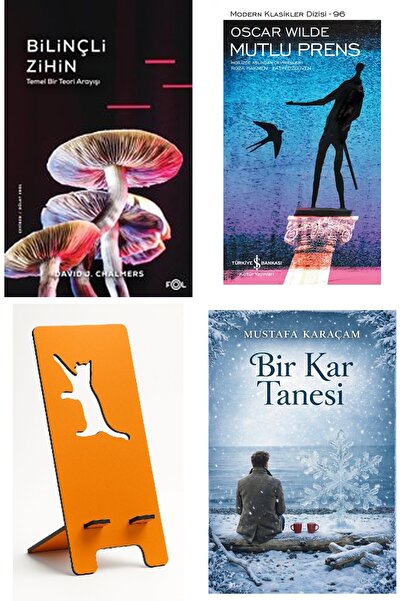 TÜRKİYE İŞ BANKASI KÜLTÜR YAYINLARI The Conscious Mind - a Quest for a Fundam...