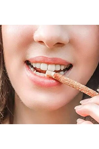 Yıldızan مسواك تيرا أورجانيك الطبيعي العضوي الممتاز (حجم صغير) تيرا أورجانيك ...