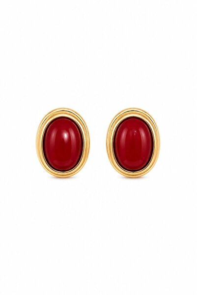 Charmist Steel elara earrings