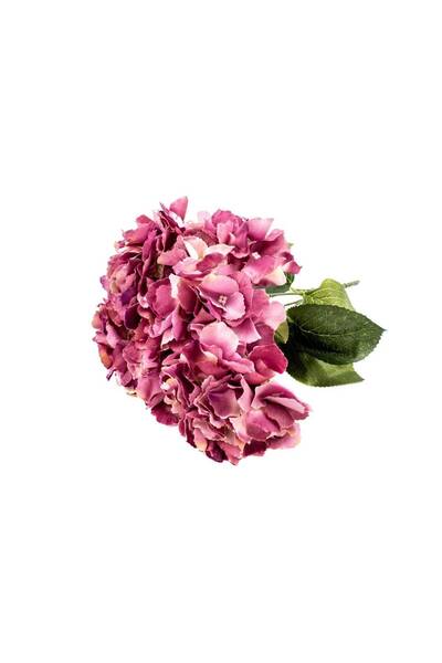 OEM Flori Artificiale Buchet Hortensie 5 Flori Violet