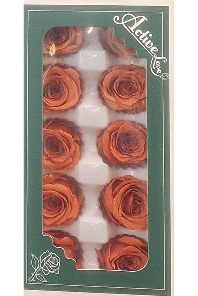 OEM Trandafiri criogenati, 10 bucati/cutie, diametru 5 cm