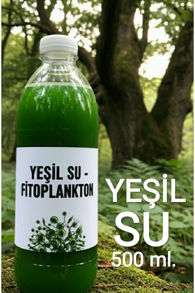 İkizler Yeşil Su Kültürü Mavi Yeşil Alg - Chlorella Fitoplankton - Su Piresi ...