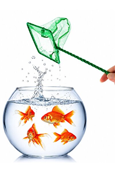 HAYHAYPETSHOP Aquarium Fish Scoop Fish Catching Net with Netting Aquarium Cle...