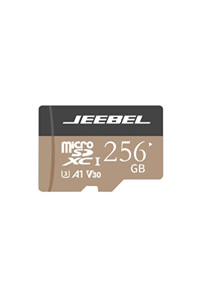 Jeebel بطاقة ذاكرة مايكرو SD عالية السرعة JE-B402 بسعة 256 جيجابايت لكاميرات ...