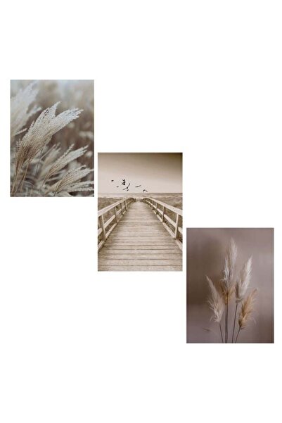 OEM Decorative poster Top Bottom Set , Multicolor, 30 x 42, 3 pieces, wall de...