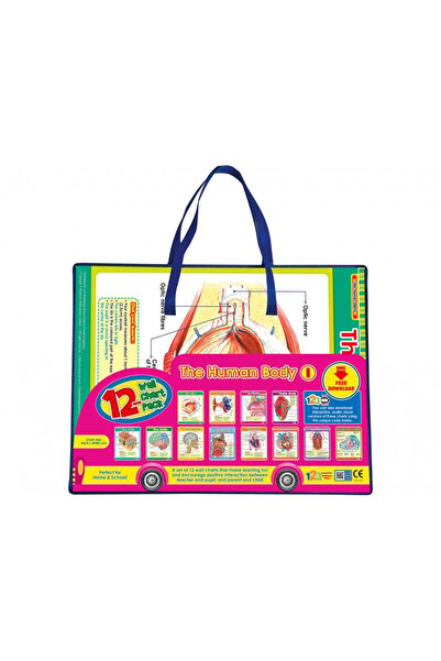 Puzzle لوحات تعليمية جسم الانسان 1 - انجليزي من 123 ببلشينج