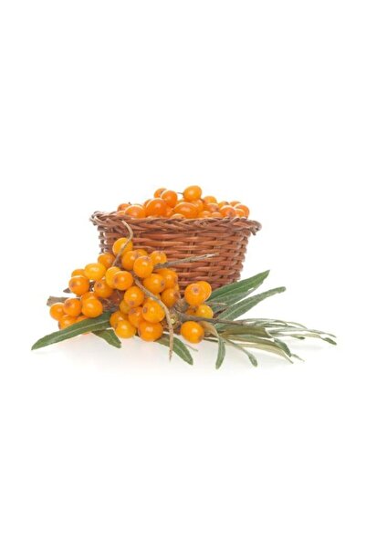 Herbstore.gr Κρέμα Ιπποφαές