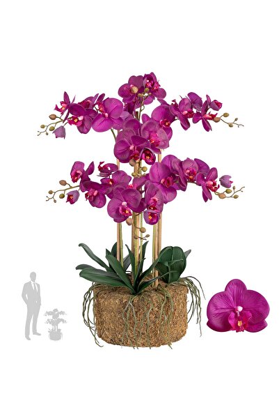 Roberto Rossi Orhidee artificiala mov cu aspect H76 cm cu 7 tulpini