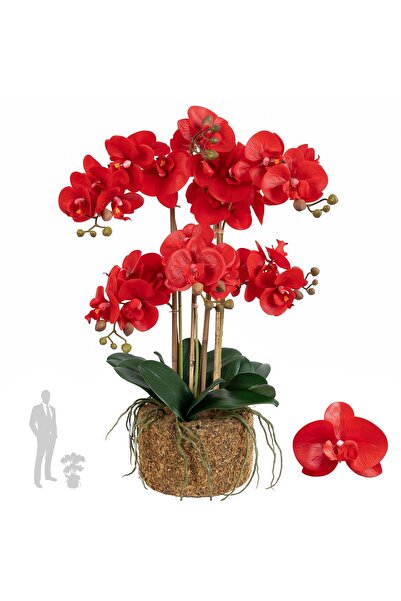 Roberto Rossi Orhidee artificiala rosie cu aspect H62 cm cu 6 tulpini