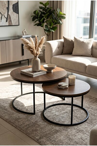 Ashredh Store Modern Tables Set of 2 Middle Tables Wood Top Luxury