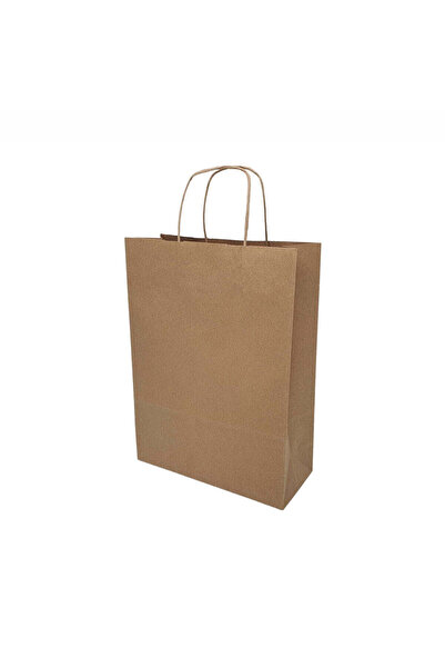 Papette Set 50 bucăți Pungi hârtie Kraft Natur, mânere hârtie rasucită, 32 x ...