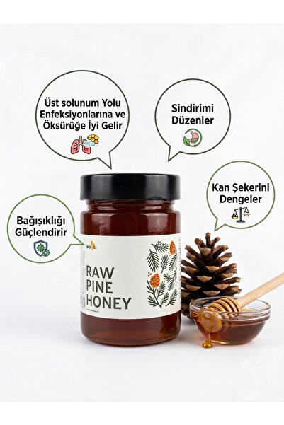 Seel From Anatolia Hakiki Çam Balı 454 gr Sindirim Düzenler Bağışıklık Güçlen...