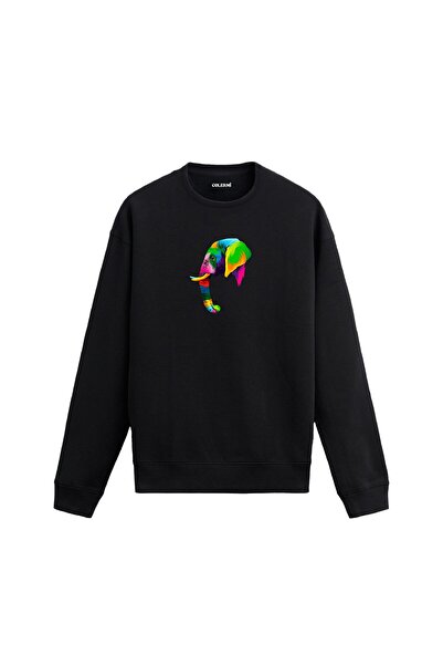 Colermi Colorful Elephant Design Sweatshirt