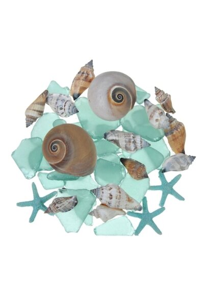 IRO Scoici decorative, melci, pietre decorative 200g