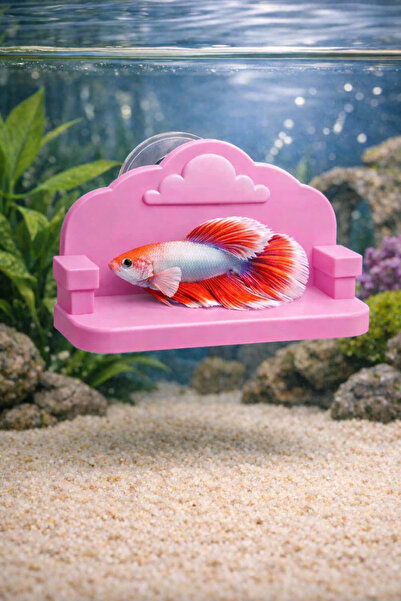 Akvaryum Beta Dinlenme Alanı ( Pembe ) Gökyüzü Krallığı Tahtı