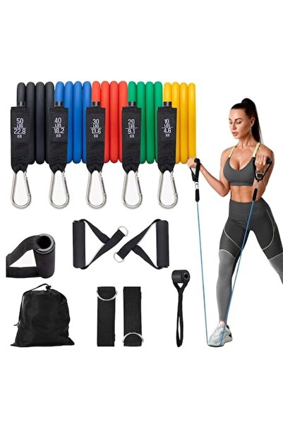 EBA ®   Set de antrenament cu benzi de rezistență cu 11 accesorii, 5 benzi el...