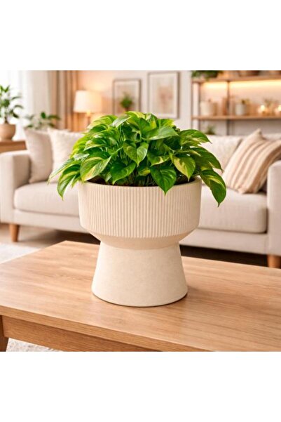 Generic وعاء نباتات من السيراميك بقاعدة مرتفعة وتصميم مخطط، متوفر بحجمين.