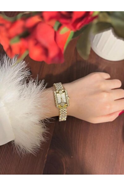 vanus fashion Luxury Women's Watch W62