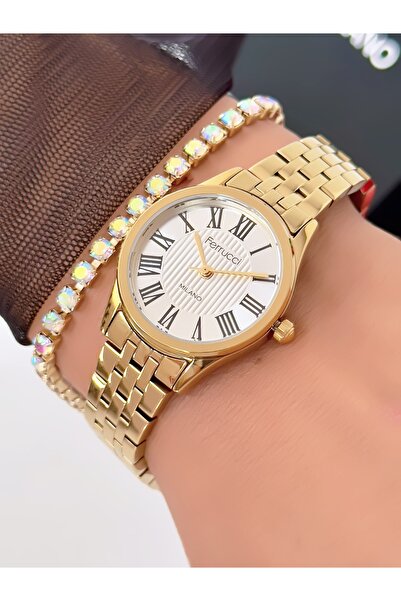 Ferrucci Steel Strap Roman Numeral Model 2 Year Warranty 3 Atm Waterproof Wom...