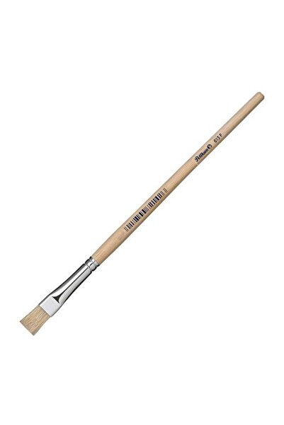 Pelikan ΒΟΥΡΤΣΑ 613 F 6 με τρίχες 721407