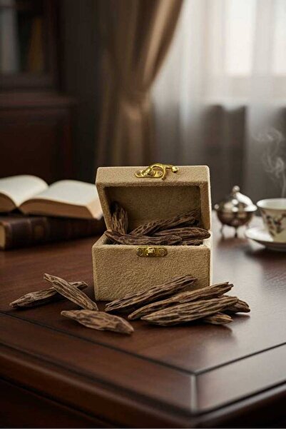 OEMS The return of the fragrance of memories