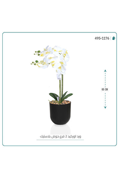 OEMS Artificial Orchid Flower in Cylindrical Plastic Pot { 2 Branches }