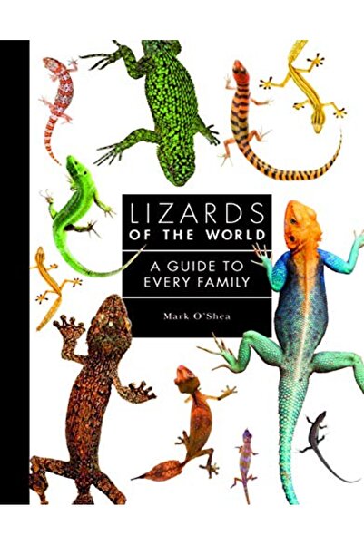 Hachette Lizards of the World: A Guide to Every Family