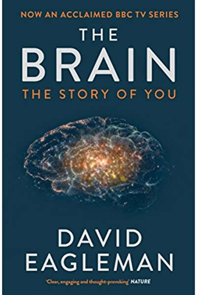 Harper Collins The Brain: The Story of You