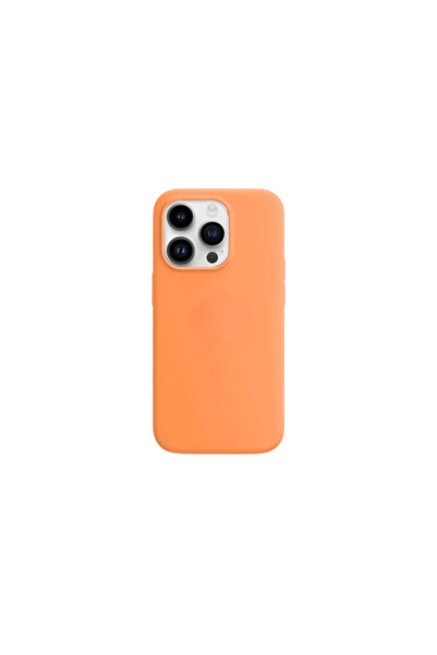 OEM Husa compatibila iPhone 13 Pro