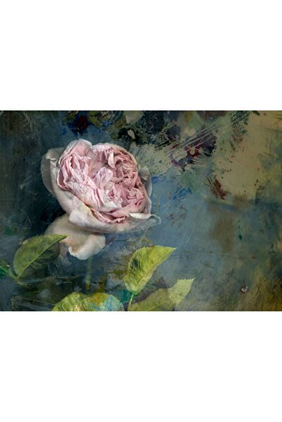 Persona Tablou Canvas, Floare Roz- 100 X 70 cm
