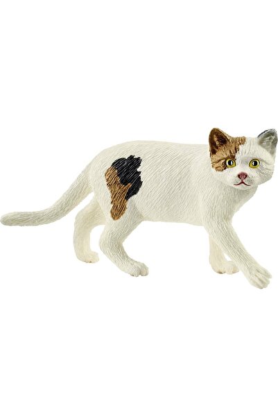 SCHLEICH Ζώα: Γάτα Αμερικανική Κοντότριχη (SCH13894)