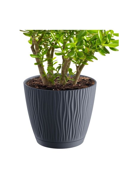 EDANTI Ghiveci rotund cu farfurie Sandy P, 23,9 cm - Antracit