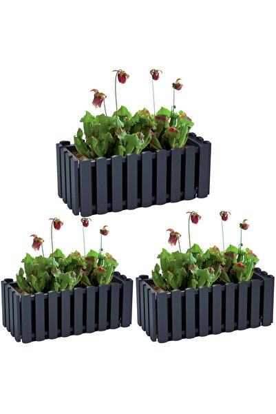 EDANTI Set de 3 jardiniere pentru balcon