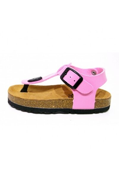 PLAKTON 111676 CHAROL ROSA