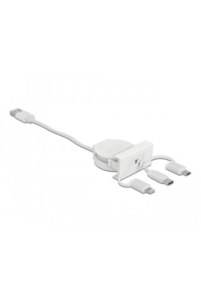 DELOCK Easy 45 Modul USB 2.0 3 σε 1 Αναδιπλούμενο καλώδιο USB-A σε C