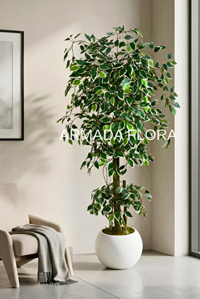 Armada Flora Premium Yapay Benjamin Starlight Ağacı 175 cm (27*33 Küre Saksılı)