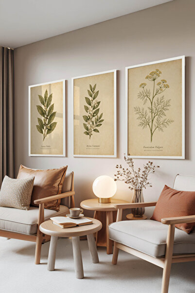 Zestia Set de 3 tablouri cu ramă albă, ilustrație botanică rustică cu ramură ...