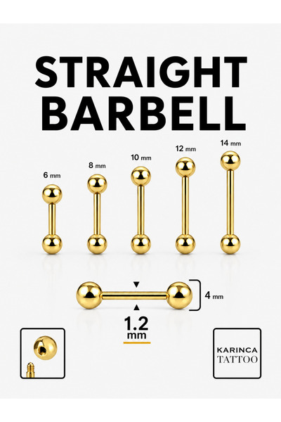 Karınca Piercing Straight Barbell Piercing Çubuk Düz Flat Helix Septum Genita...