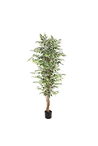 SUPERGREENS Τεχνητό Δέντρο Φίκος "Benjamina Variegata" Πράσινο 180 εκ.