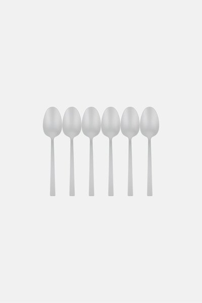 BEBEHOME 6 Pcs Stainless Steel Dinner Spoon Set, Silver